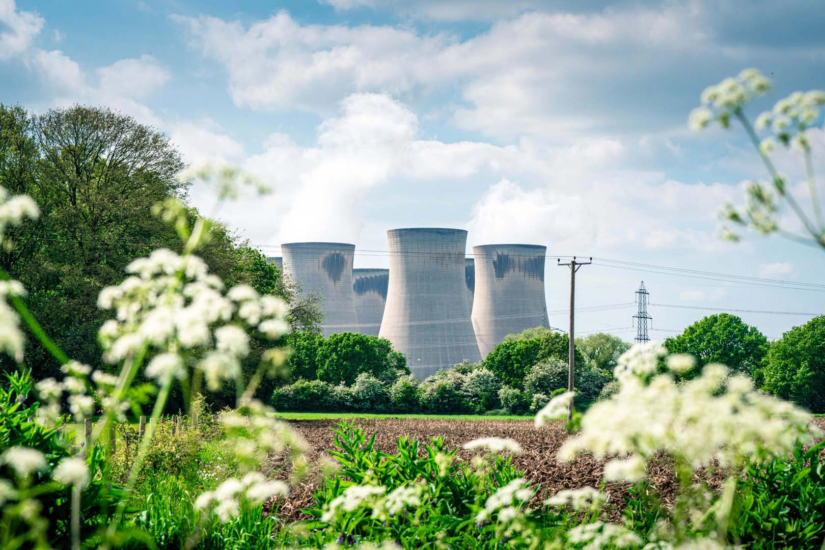 Cooling towers with plants in the foreground