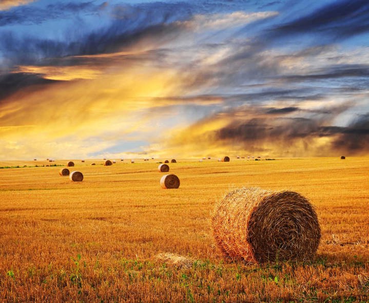hay-bale_45070939.jpg