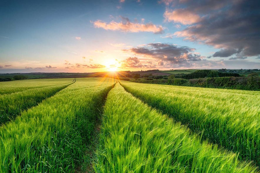 farming_281126528.jpg