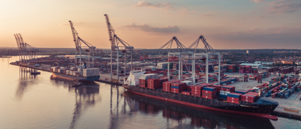 ships in a port