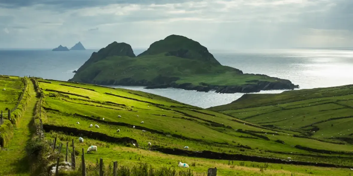 What To Expect From The 2025 Irish Budget