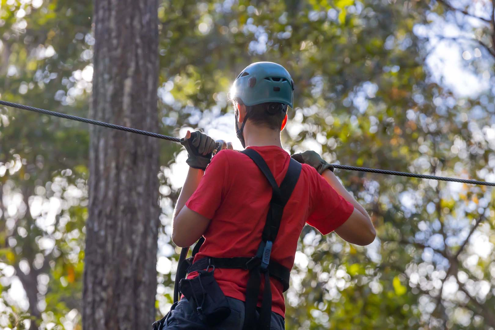 Child on tree top ropes