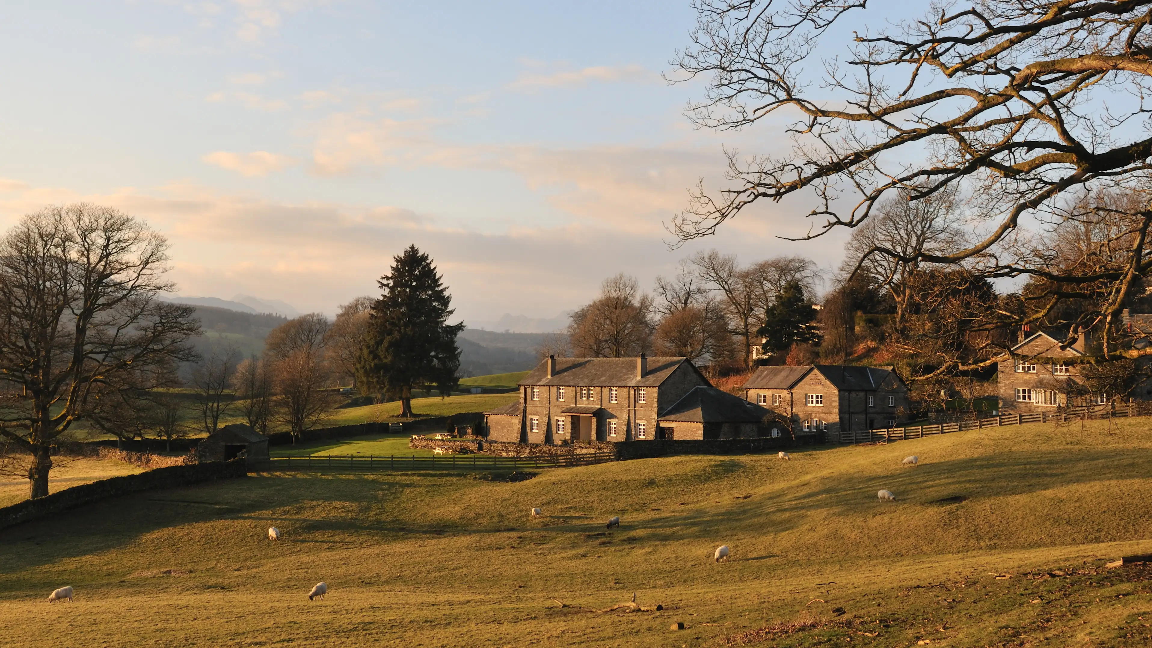 Gettyimages 183774477