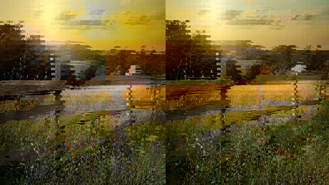 budget-landed-estates-1920x1080.jpg