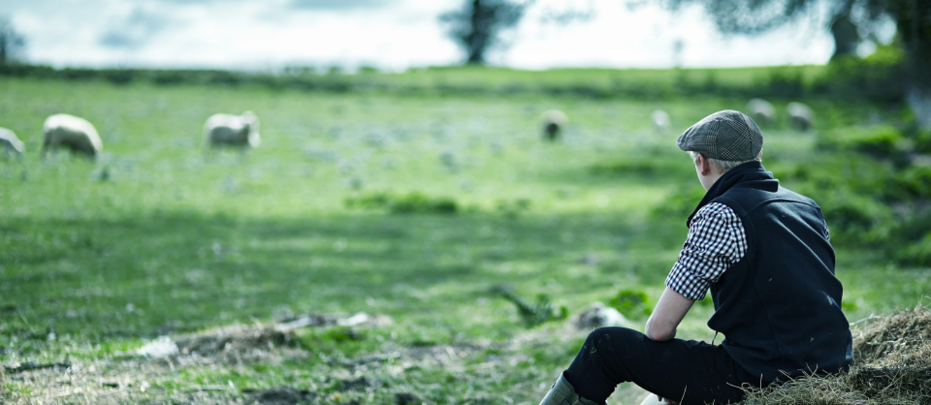 Farmer Banner
