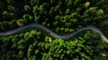 Roadmap Making Tax Digital 2