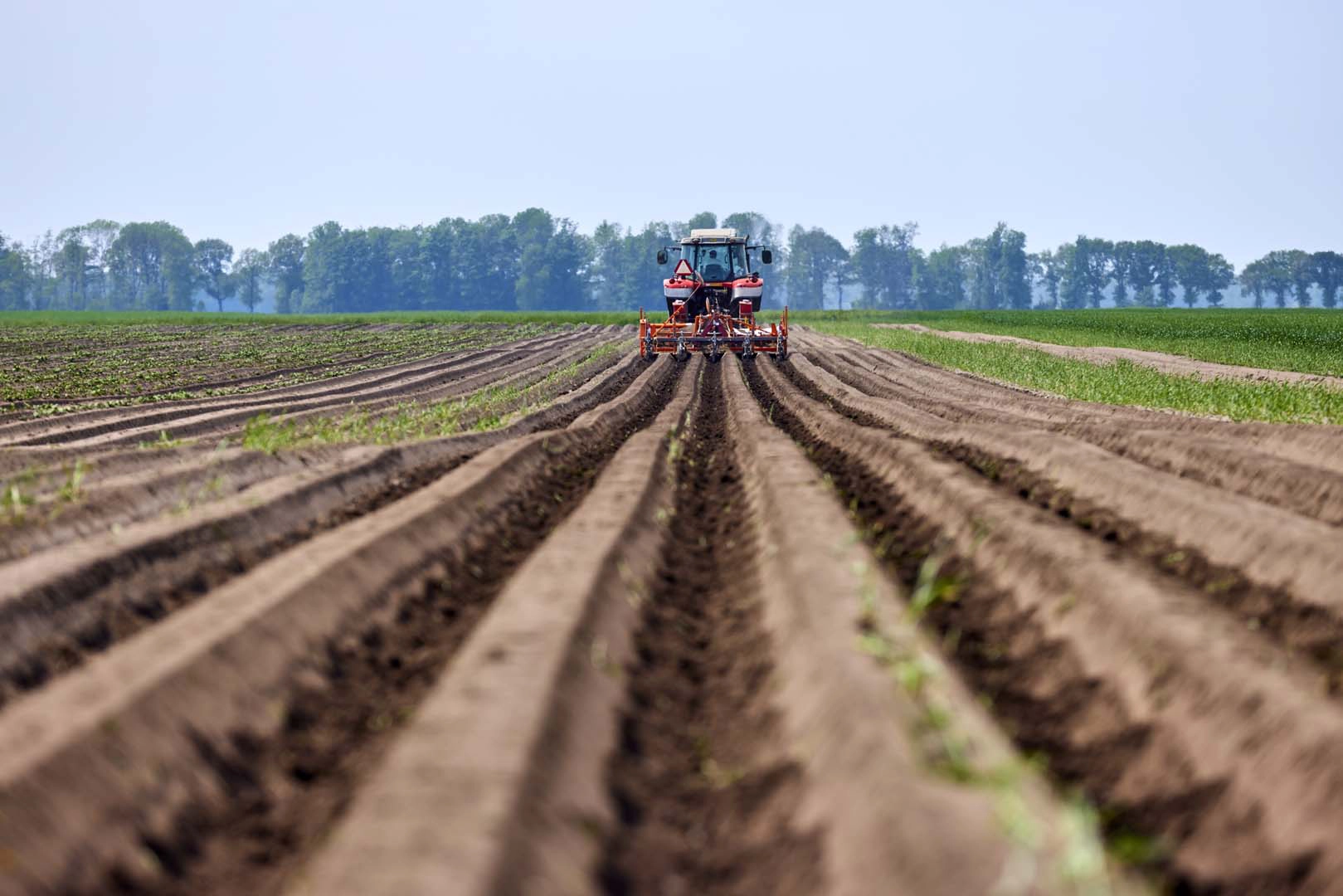 A tractor ploughing a field